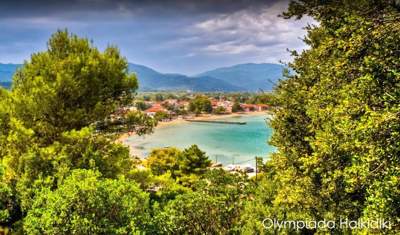 Mirini • Ancient Stagira Apts • Chalkidiki Olympiada Ngoại thất bức ảnh