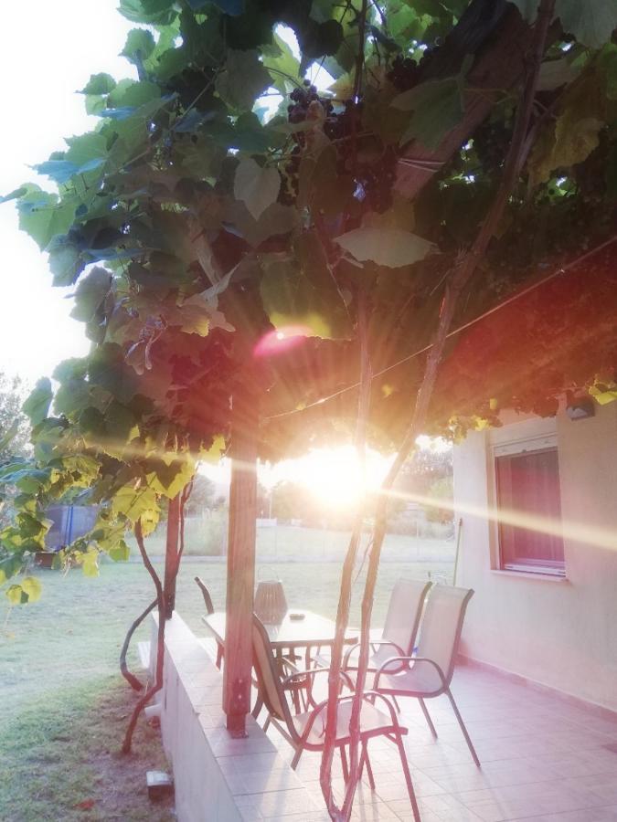 Mirini • Ancient Stagira Apts • Chalkidiki Olympiada Ngoại thất bức ảnh