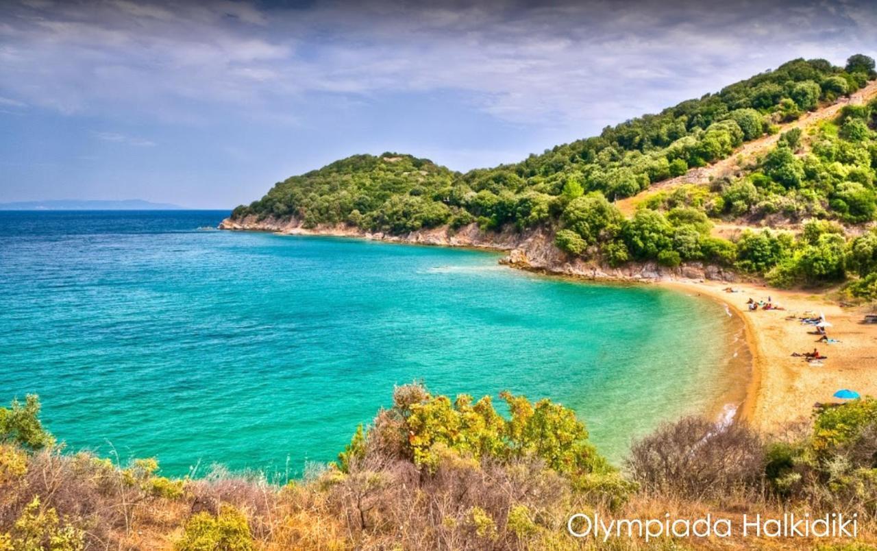Mirini • Ancient Stagira Apts • Chalkidiki Olympiada Ngoại thất bức ảnh